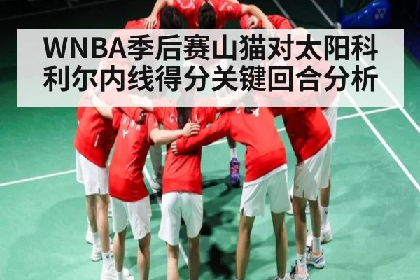 WNBA季后赛山猫对太阳科利尔内线得分关键回合分析